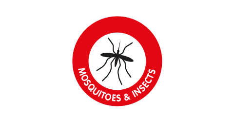 Mosquitoes & insects