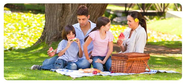 Today let’s go on a picnic!